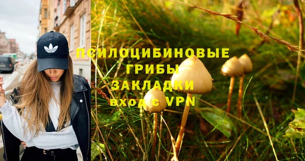 мяу мяу мука Абаза