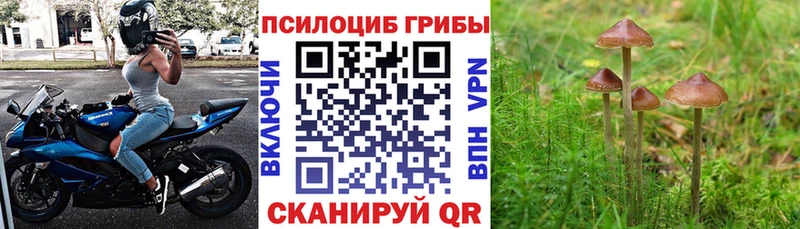 где можно купить наркотик  Бугуруслан  Галлюциногенные грибы GOLDEN TEACHER 