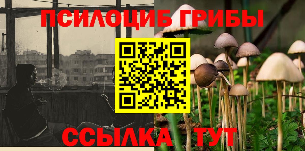 Галлюциногенные грибы Psilocybe  Псилоцибиновые грибы Cubensis  Вход с VPN  Бугуруслан 